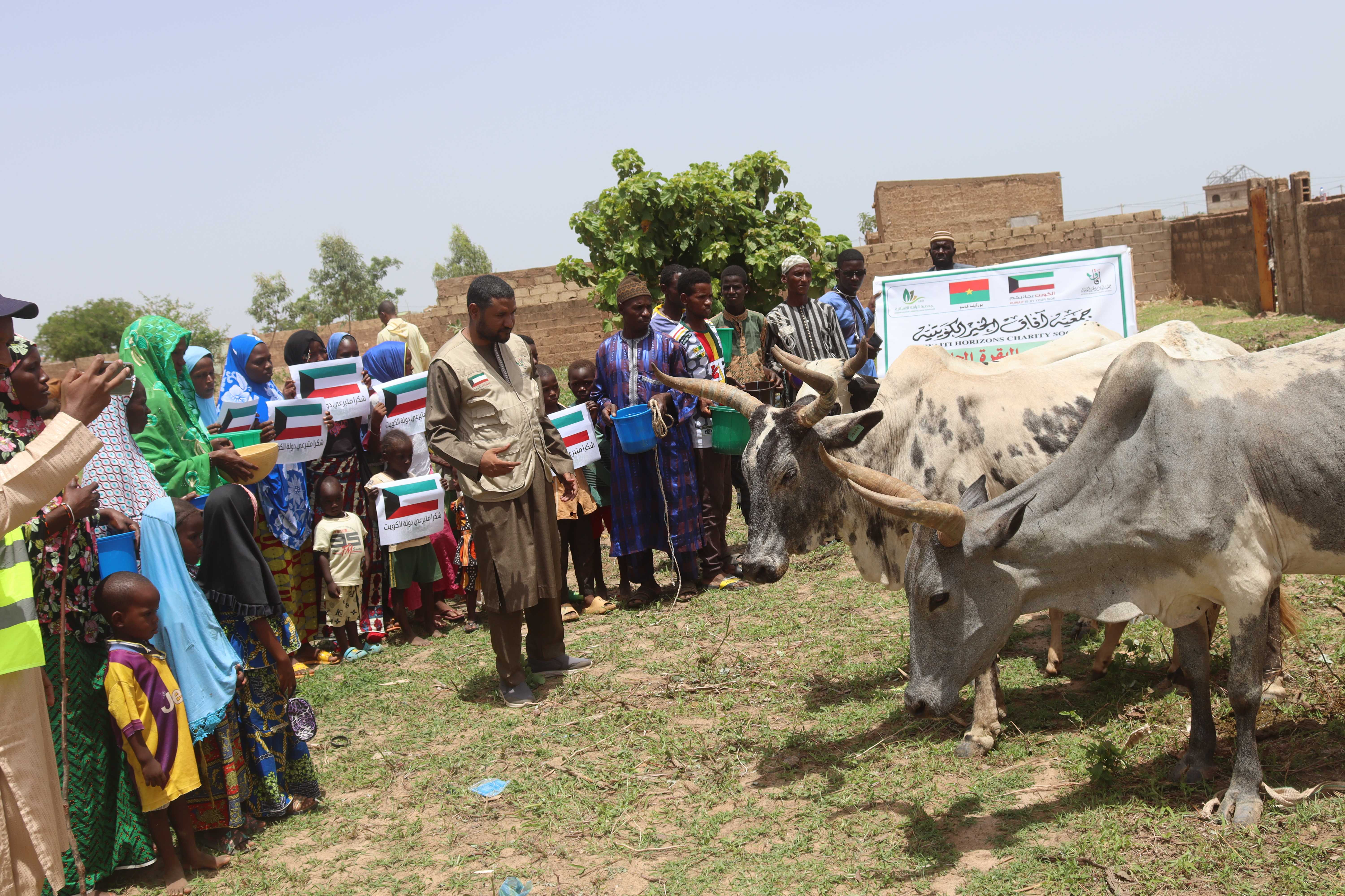بقرة حلوب - بوركينافاسو